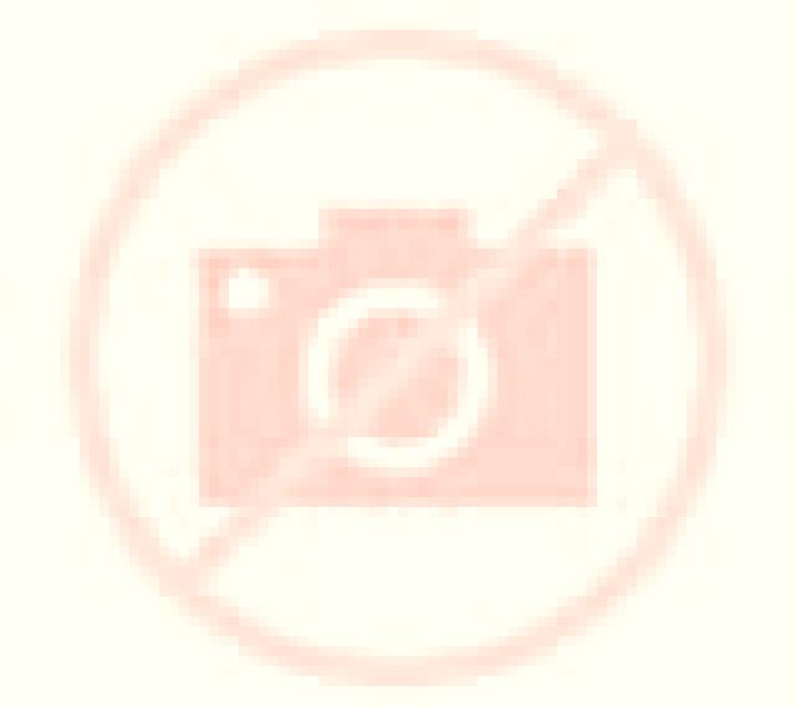 Abril 2 Copiapo escort