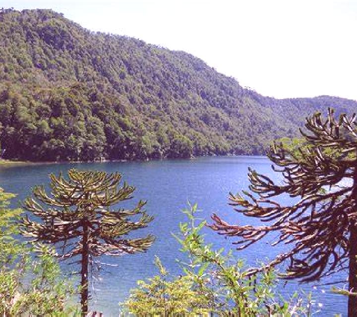 Abril 2 Lago Verde escort