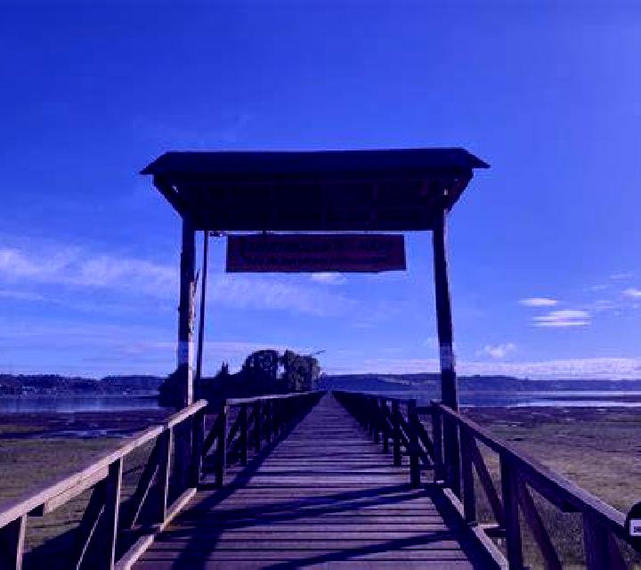 Abril 3 Dalcahue escort