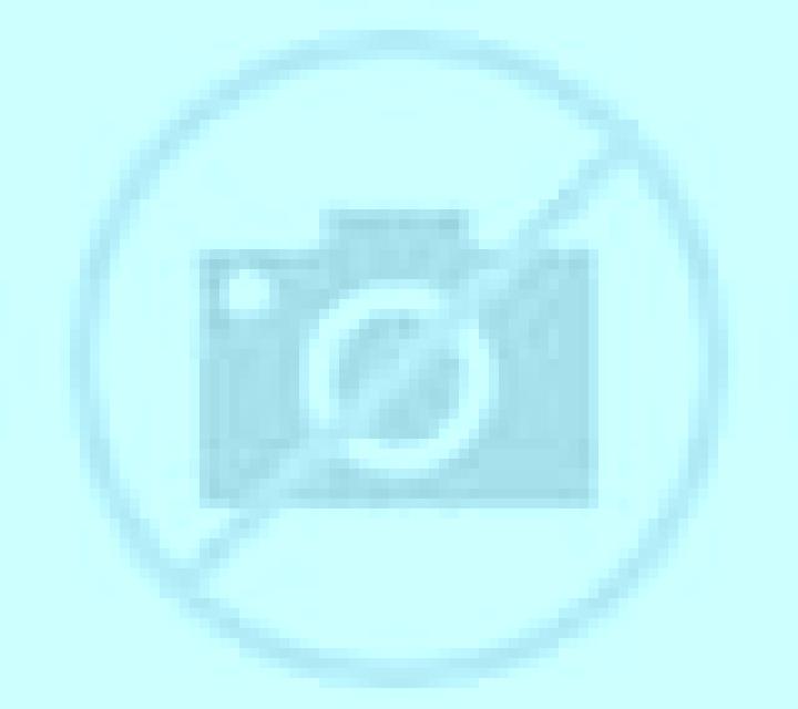 Amanda Maria Elena escort