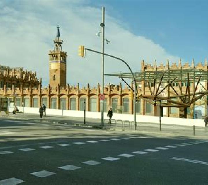 Andrea 2 Las Animas escort