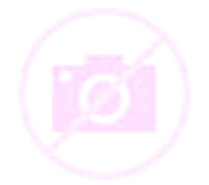 Andrea 2 Saavedra escort