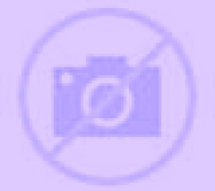 Andrea San Felipe escort