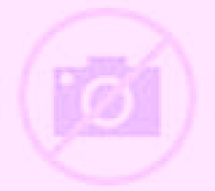 Belén Curacavi escort