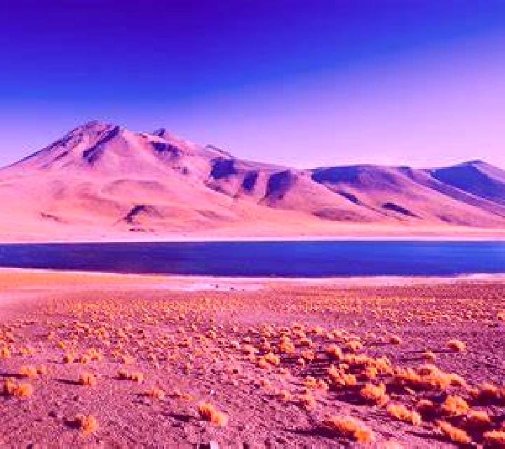 Bárbara San Pedro de Atacama escort
