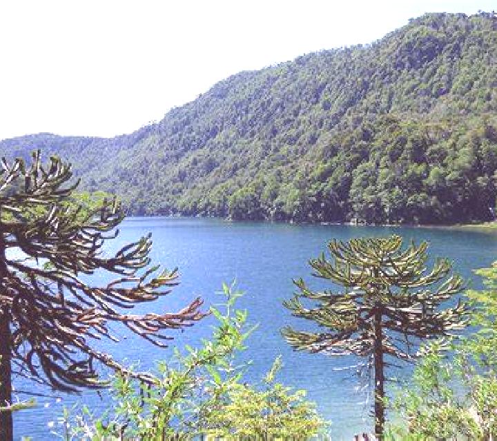 Brisa Lago Verde escort