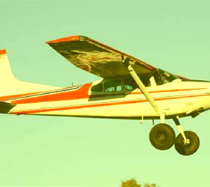 Colomba 2 Maule escort
