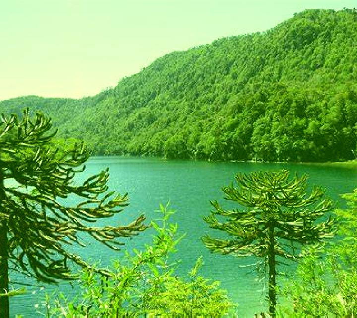 Constanza Lago Verde escort