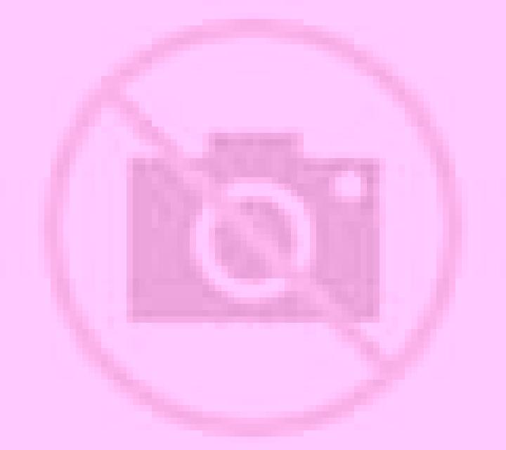 Diana Santa Barbara escort