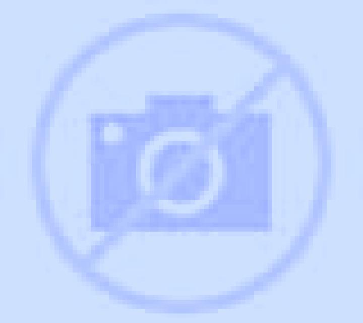 Fernanda 3 Bulnes escort