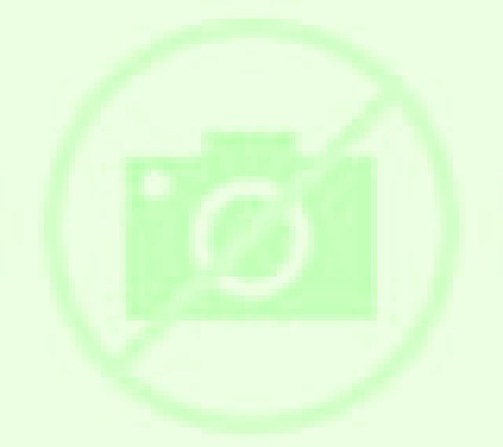 Javiera 2 Alto Hospicio escort