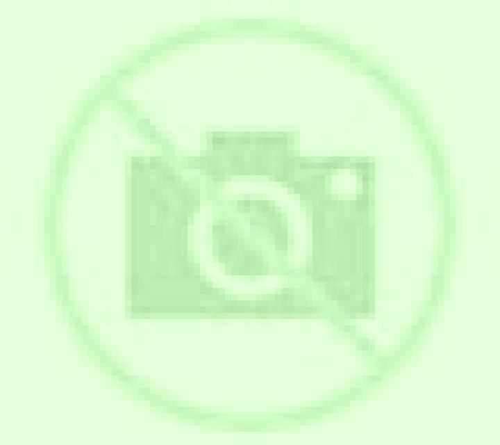 Javiera 3 Los Andes escort