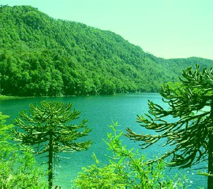 Josefa Lago Verde escort