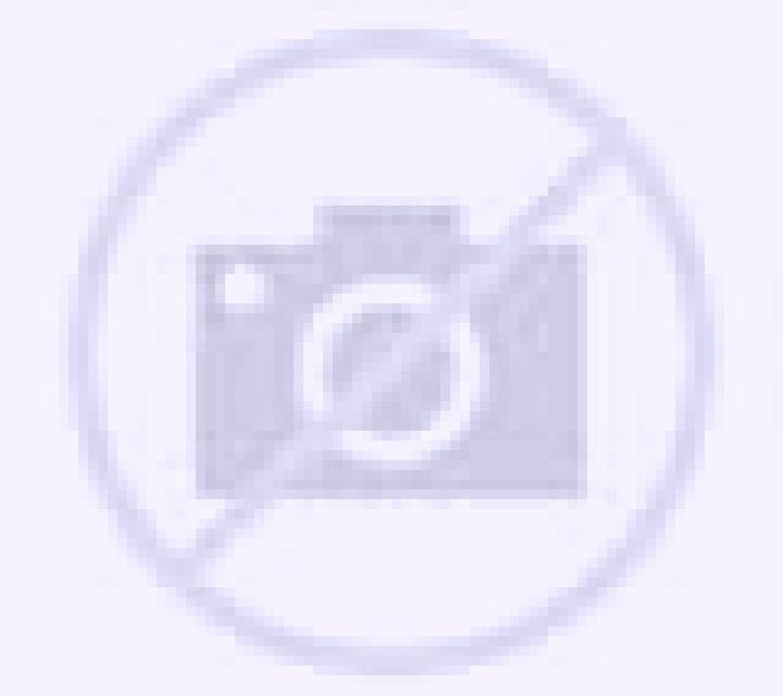 Macarena Camina escort