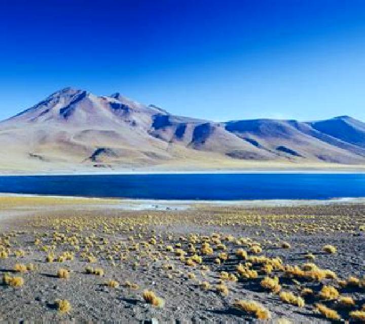 Millaray San Pedro de Atacama escort
