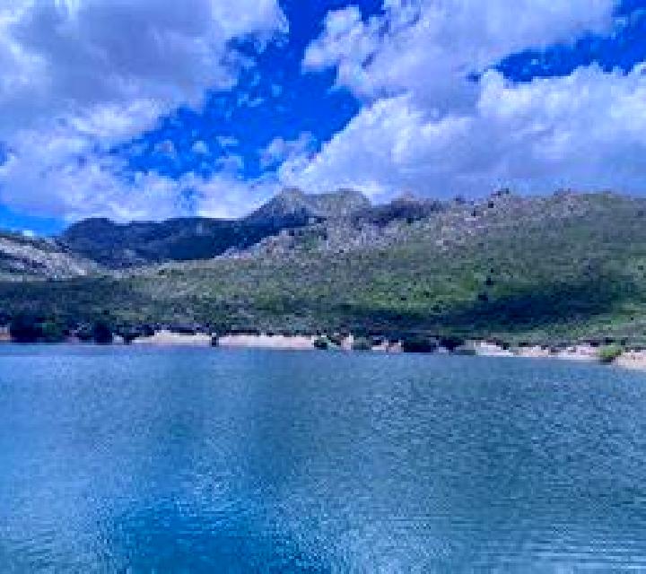 Olivia Loncoche escort