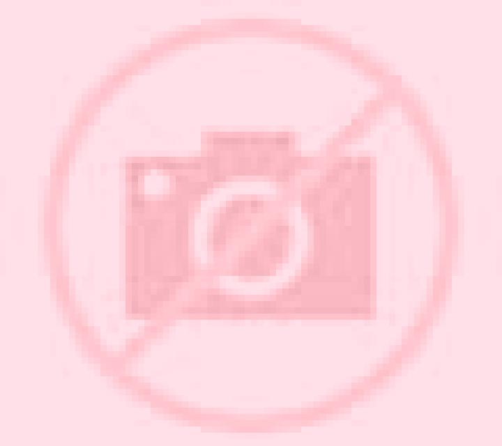 Rayén 2 Ancud escort