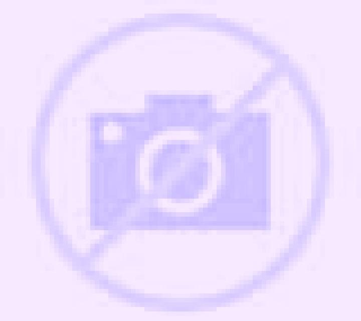 Regina 3 Quellon escort