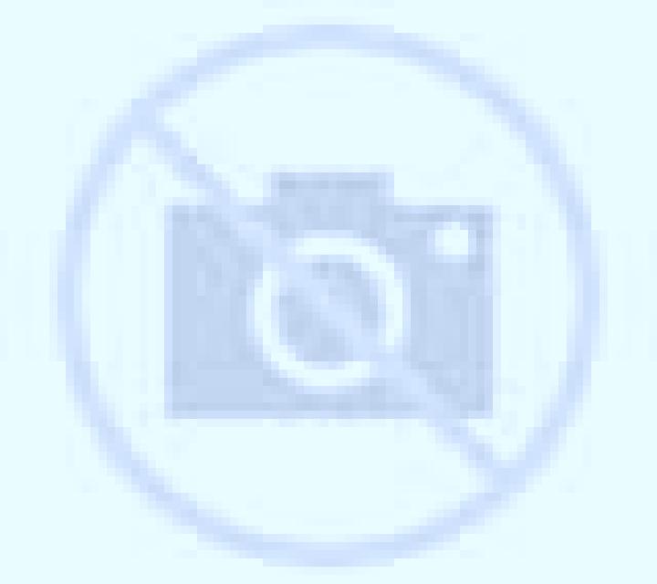 Regina Chillan escort