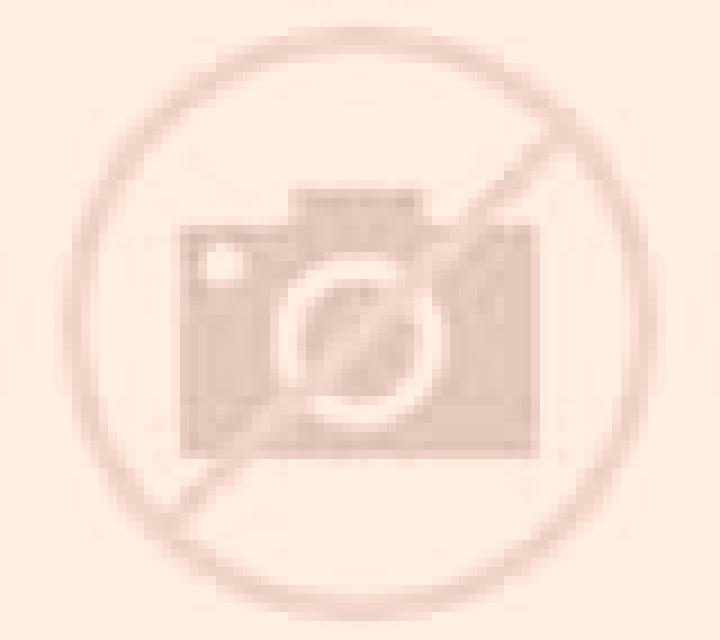 Regina Maule escort