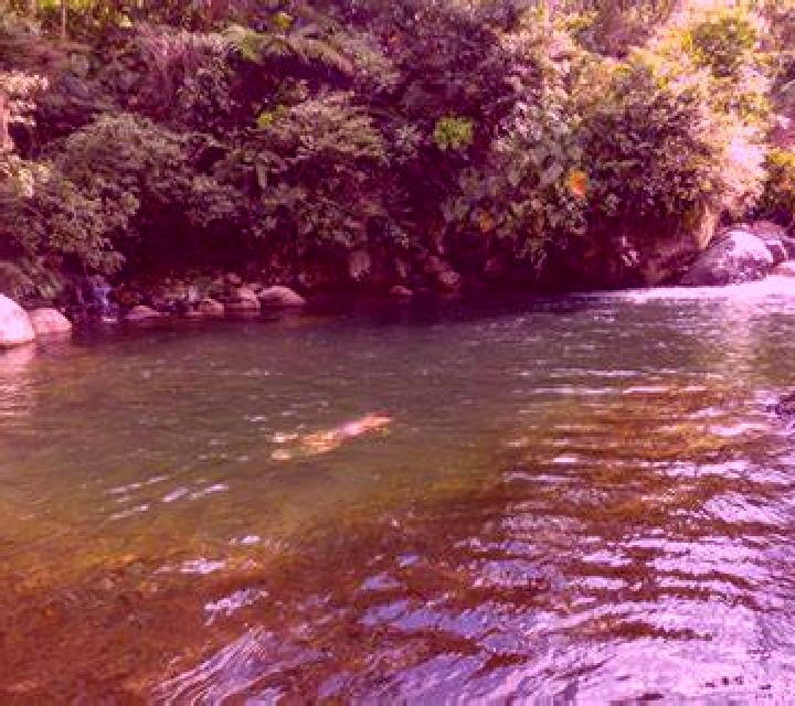 Trinidad Rio Bueno escort