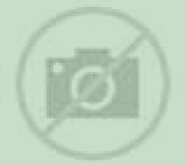 Yasmin 2 Providencia escort