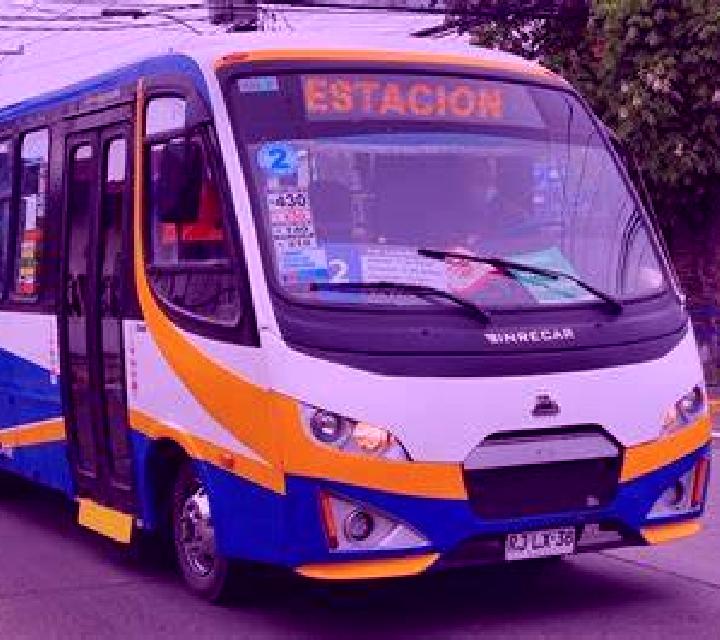 Zara 3 Hualqui escort